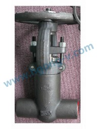 API forged steel seal pressure bolt bonnet weld globe valve